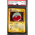 PSA8 - Pokemon - Electrode Holo - 13/64 - Jungle - Japanese - TCGroupAU